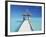 Maldives, Pier and Ocean-Peter Adams-Framed Photographic Print