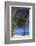 Maldives, South Ari Atoll, Mandhoo Island-Michele Falzone-Framed Photographic Print