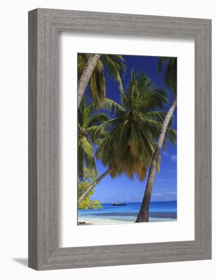 Maldives, South Ari Atoll, Mandhoo Island-Michele Falzone-Framed Photographic Print