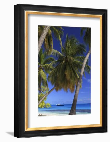 Maldives, South Ari Atoll, Mandhoo Island-Michele Falzone-Framed Photographic Print