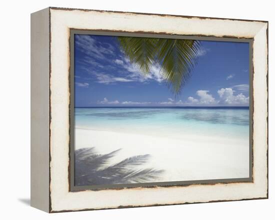 Maldives Tropical Beach, Maldives, Indian Ocean, Asia-Sakis Papadopoulos-Framed Premier Image Canvas