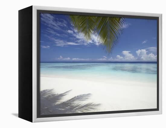 Maldives Tropical Beach, Maldives, Indian Ocean, Asia-Sakis Papadopoulos-Framed Premier Image Canvas