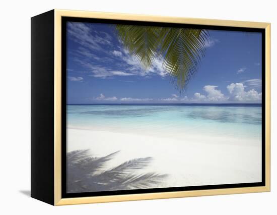 Maldives Tropical Beach, Maldives, Indian Ocean, Asia-Sakis Papadopoulos-Framed Premier Image Canvas