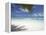 Maldives Tropical Beach, Maldives, Indian Ocean, Asia-Sakis Papadopoulos-Framed Premier Image Canvas