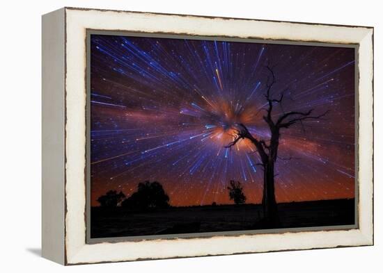 maldon-1-Lincoln Harrison-Framed Stretched Canvas