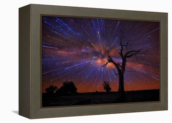 maldon-1-Lincoln Harrison-Framed Stretched Canvas