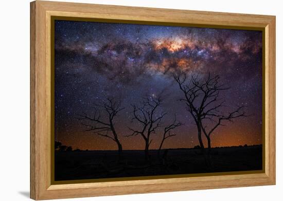 maldon-2-Lincoln Harrison-Framed Stretched Canvas