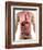 Male Anatomy, Artwork-SCIEPRO-Framed Premium Photographic Print