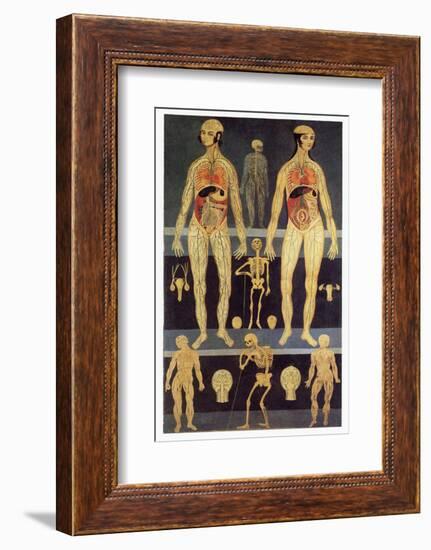 Male And Female Anatomy-Mehau Kulyk-Framed Photographic Print