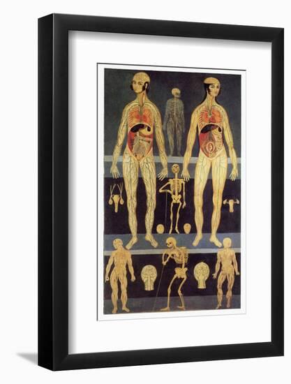 Male And Female Anatomy-Mehau Kulyk-Framed Photographic Print