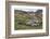 Male and female Elephant seals. Grytviken. South Georgia Islands.-Tom Norring-Framed Photographic Print