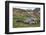 Male and female Elephant seals. Grytviken. South Georgia Islands.-Tom Norring-Framed Photographic Print