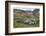 Male and female Elephant seals. Grytviken. South Georgia Islands.-Tom Norring-Framed Photographic Print