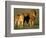 Male and Female Lion-Paul Souders-Framed Photographic Print