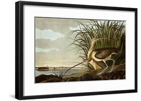 Male And Female Long Billed Curlew (Numenius Americanus) with the City of Charleston Behind-John James Audubon-Framed Giclee Print