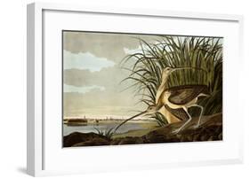 Male And Female Long Billed Curlew (Numenius Americanus) with the City of Charleston Behind-John James Audubon-Framed Giclee Print