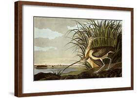 Male And Female Long Billed Curlew (Numenius Americanus) with the City of Charleston Behind-John James Audubon-Framed Giclee Print