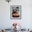 Male Baikal Seal Billy Performs a Dip in Hot Spring, Holding a Sake Bottle at an Aquarium in Hakone-null-Framed Photographic Print displayed on a wall