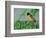 Male Baltimore Oriole-Adam Jones-Framed Photographic Print