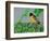 Male Baltimore Oriole-Adam Jones-Framed Photographic Print