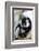 Male black-and-white ruffed lemur (Varecia variegata), Nosy Iranja, northern area, Madagascar, Afri-Christian Kober-Framed Photographic Print