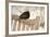 Male Blackbird (Turdus Merula) Perched in Winter, with Feathers Ruffled, Scotland, UK-Mark Hamblin-Framed Photographic Print