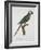 Male Blue-Winged Macaw-Jacques Barraband-Framed Giclee Print