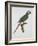 Male Blue-Winged Macaw-Jacques Barraband-Framed Giclee Print