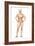 Male Body Standing, with Full Digestive System Superimposed-null-Framed Art Print