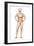 Male Body Standing, with Full Digestive System Superimposed-null-Framed Art Print