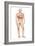Male Body Standing, with Full Respiratory System Superimposed-null-Framed Art Print