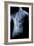 Male Body with Internal Organs-null-Framed Art Print