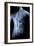 Male Body with Internal Organs-null-Framed Art Print