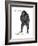 Male Bonobo or Pygmy Chimpanzee (Pan Paniscus), Ape, Mammals-Encyclopaedia Britannica-Framed Art Print