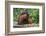 Male Bornean Orangutan (Pongo Pygmaeus) with Full Cheek Pads, Malaysia-Michael Nolan-Framed Photographic Print