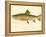 Male Brook Trout-null-Framed Premier Image Canvas