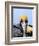 Male Brown Pelican in Breeding Plumage, Sanibel Island, Florida, USA-Charles Sleicher-Framed Photographic Print