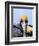 Male Brown Pelican in Breeding Plumage, Sanibel Island, Florida, USA-Charles Sleicher-Framed Photographic Print