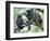 Male Chimpanzee Grooms His Brother, Gombe National Park, Tanzania-Kristin Mosher-Framed Photographic Print