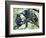 Male Chimpanzee Grooms His Brother, Gombe National Park, Tanzania-Kristin Mosher-Framed Photographic Print