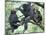 Male Chimpanzee Grooms His Brother, Gombe National Park, Tanzania-Kristin Mosher-Mounted Photographic Print