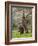 Male Elephant standing on hind legs to reach acacia pods. Mana Pools National Park, Zimbabwe-Tony Heald-Framed Photographic Print