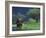 Male Elephant under Stormy Skies on Bank of Zambezi River, Zimbabwe-John Warburton-lee-Framed Photographic Print