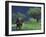 Male Elephant under Stormy Skies on Bank of Zambezi River, Zimbabwe-John Warburton-lee-Framed Photographic Print