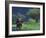 Male Elephant under Stormy Skies on Bank of Zambezi River, Zimbabwe-John Warburton-lee-Framed Photographic Print