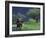 Male Elephant under Stormy Skies on Bank of Zambezi River, Zimbabwe-John Warburton-lee-Framed Photographic Print