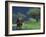 Male Elephant under Stormy Skies on Bank of Zambezi River, Zimbabwe-John Warburton-lee-Framed Photographic Print