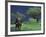 Male Elephant under Stormy Skies on Bank of Zambezi River, Zimbabwe-John Warburton-lee-Framed Photographic Print