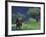 Male Elephant under Stormy Skies on Bank of Zambezi River, Zimbabwe-John Warburton-lee-Framed Photographic Print