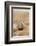 Male Eurasian Dotterel in Breeding Habitat, Grampian Mountains, Cairngorms Np, Scotland, UK-Mark Hamblin-Framed Photographic Print